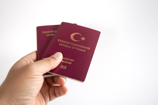 The Ultimate Guide: Applying for a Turkey Visitor Visa
